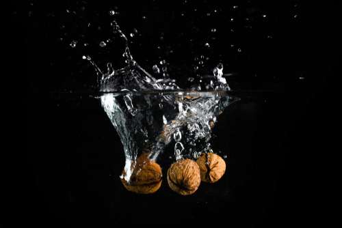Three Nuts in Water