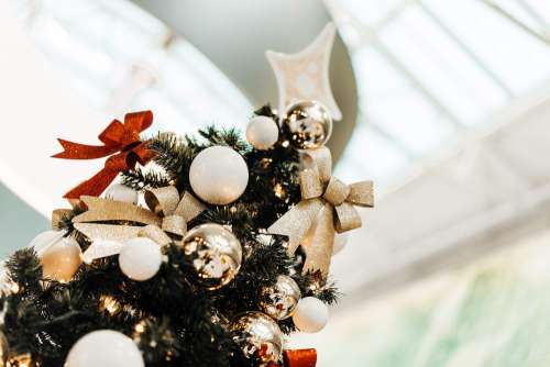 Top of the Christmas Tree