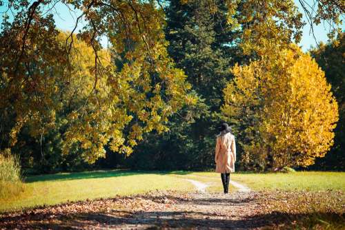 Woman Walking in a Park in Autumn