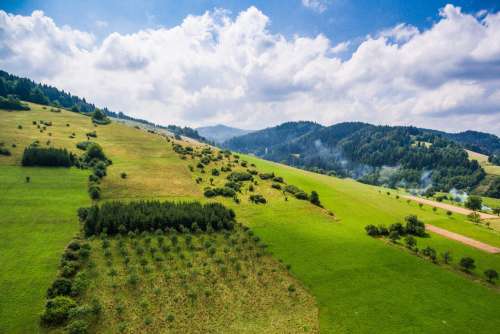 Wonderful Hills Scenery with Green Grass and Trees