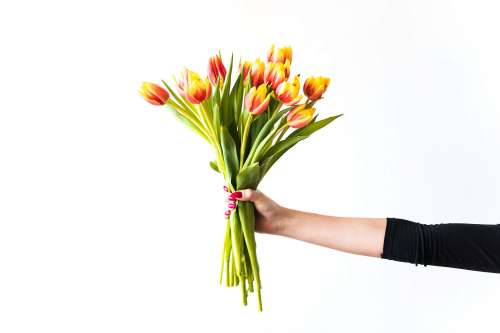 Young Woman Holding Bouquet of Kees Nelis Tulips