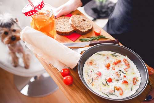 Young Woman Serving Lovely & Homemade Breakfast