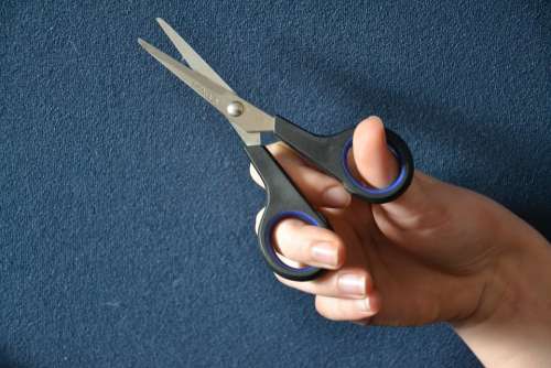 A Pair Of Scissors Scissors Thread Cut Cut Off