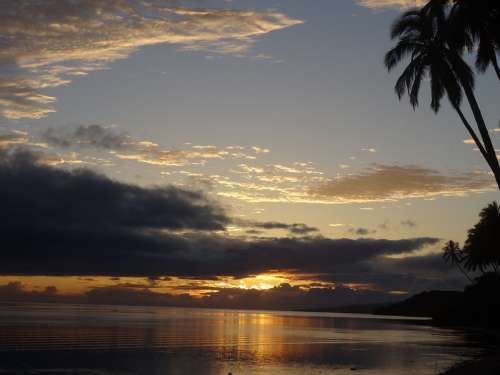 Abendstimmung Sunset Palm Clouds Evening Sky