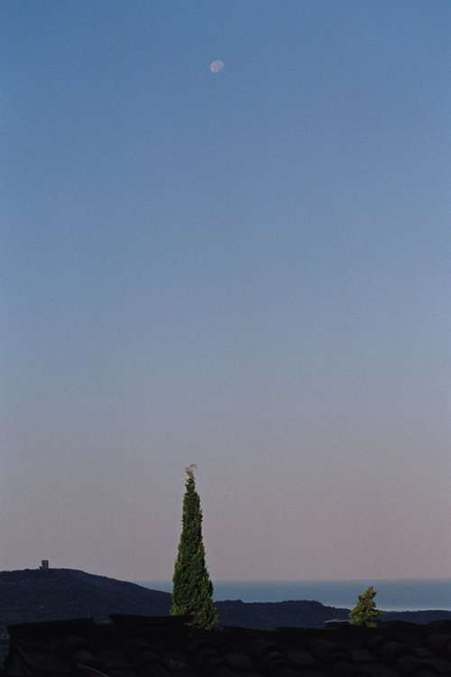 Abendstimmung Moon Sea Landscape Cypress Cupressus
