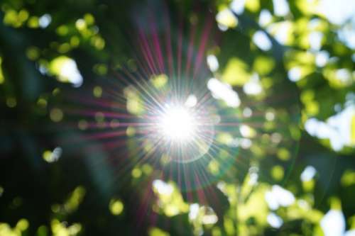 Abstract Sun Light Beams Green Lens Flair