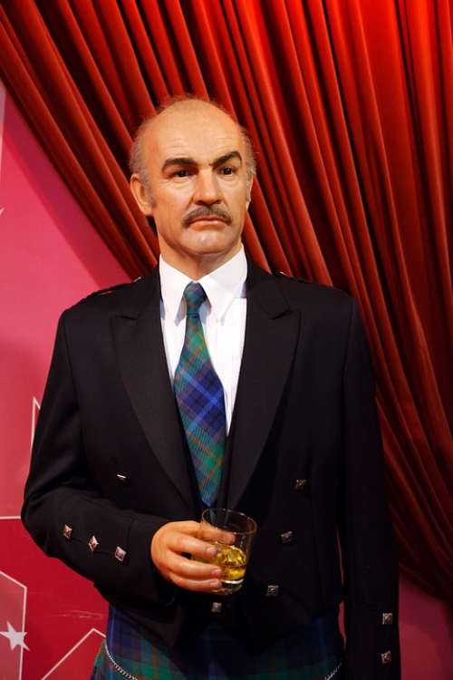 Actor Artist James Bond Celebrity Sean Connery