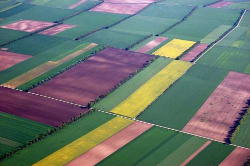 Aerial View Fields Color Summer