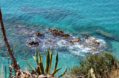 Agave Sea Stones Coast Rock Blue Nature