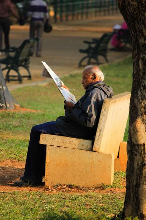 Aged Person Reading Park Bench Person Aged Elderly
