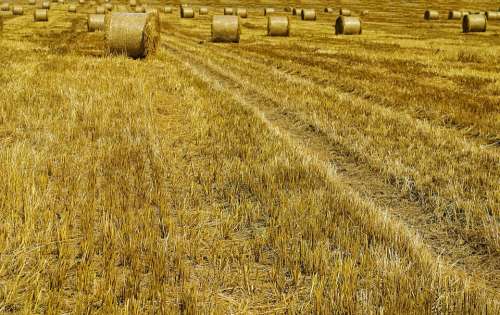 Agricultural Agriculture Autumn Background Bale