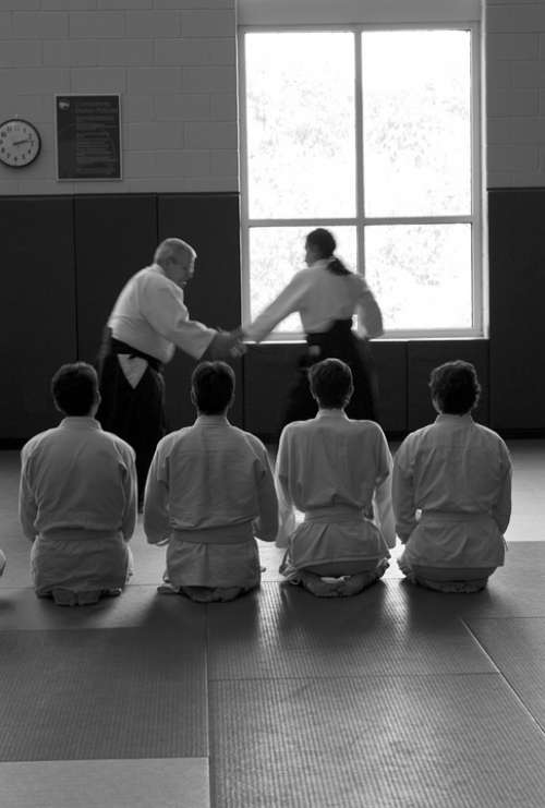 Aikido Martial Arts Self-Defense Learning Seminar