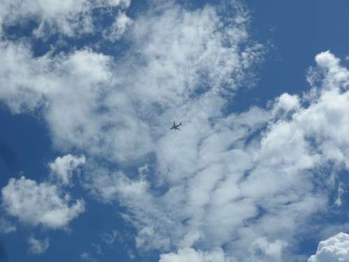 Airplane Sky Cloud