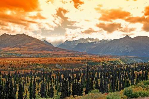 Alaska Landscape Scenic Forest Trees Mountains