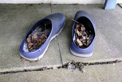 Allotment Garden Shoes Blue Dried Leaves