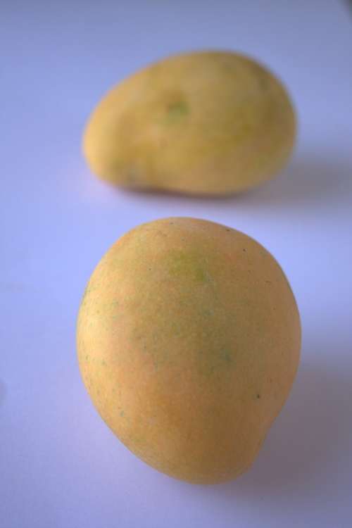 Alphonso Mango Mango Sweet Tasty Alphonso Yellow