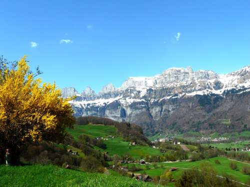 Alpine Mountains Glacier Austria Meadow Spring