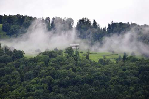 Alpine Forest Fog Cloudiness Hiking Rainy Alpe