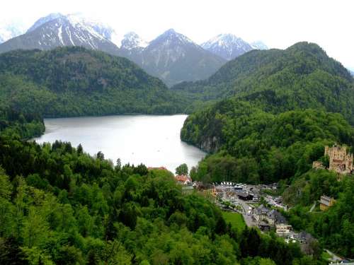 Alpsee Hohenschwangau Forest Bavaria Water Germany