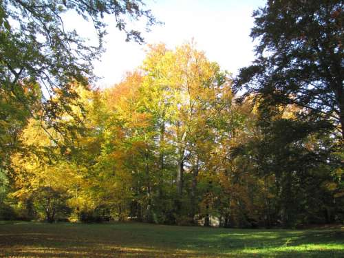 Altzella Abbey Park Autumn Landscape Colorful