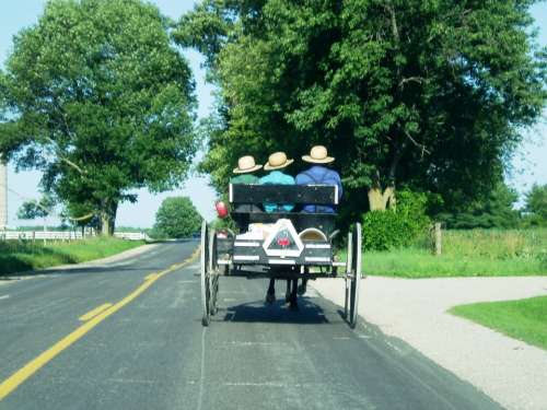 Amish Carriage Farm Country Farmland Countryside