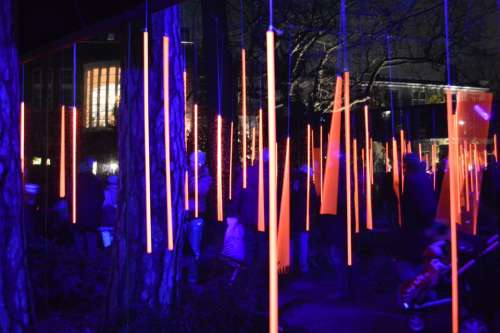 Amsterdam Light Festival Art Park Night