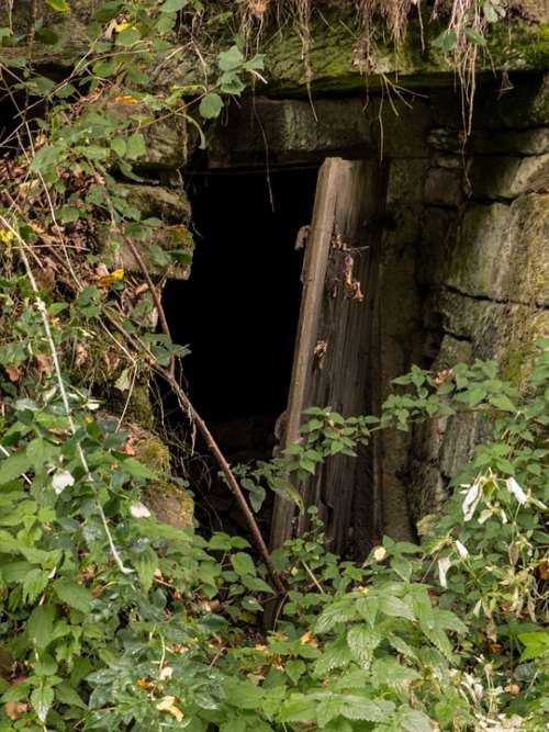 Ancient Doorway Overgrown Ruin Abandoned Rustic