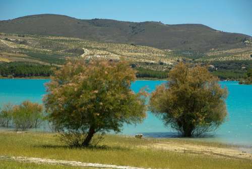 Andalusia Los Bermejales Lake Arenas Del Rey