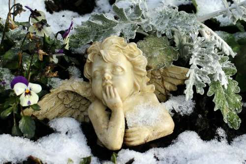 Angel Figure Winter Snow Frost Plant