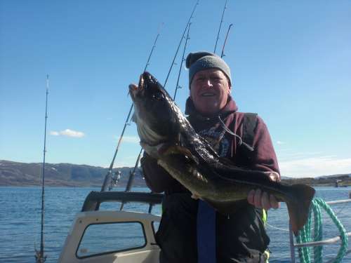 Angler Fisherman Cod Fish Fang Norway