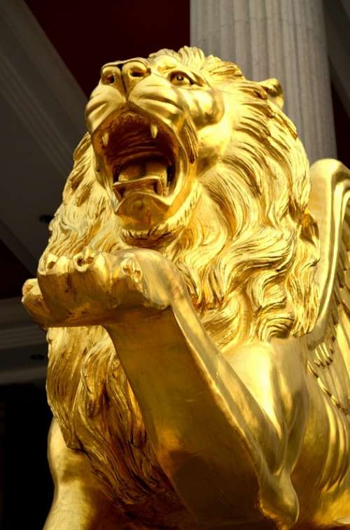 Animals Golden Lion Lion Gold Statue Art