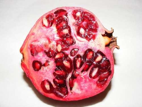 Anti-Aging Fruit Lythraceae Pomegranate Punica