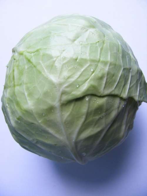 Anticancer Antioxidant Cabbage Sulforaphane