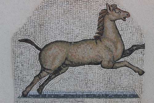 Antique Mosaic Rome Vestige Archaeology Horse