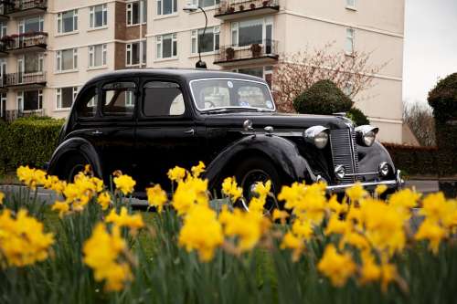 Antique Auto Automobile Automotive Black Car