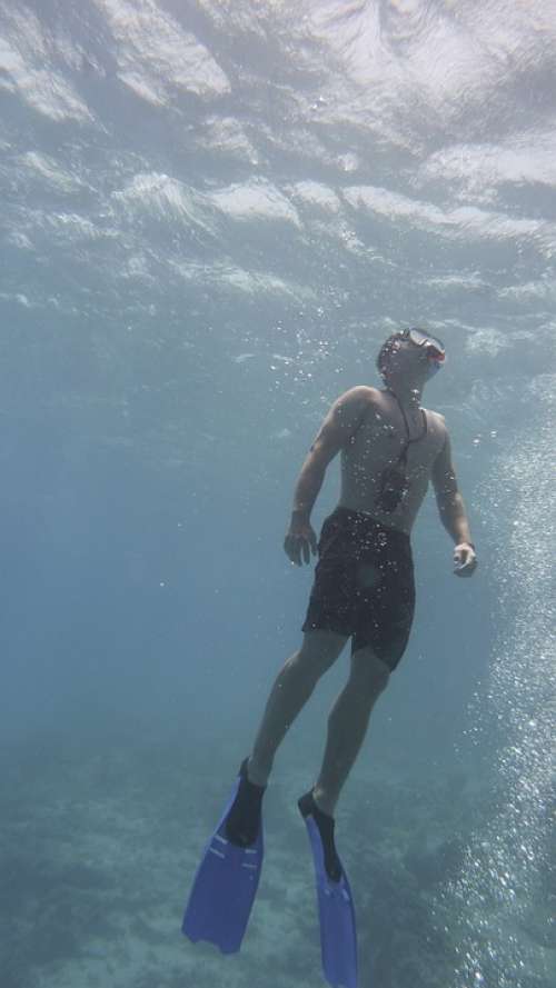 Apnea Diving Free Diving Freediver Fins Underwater
