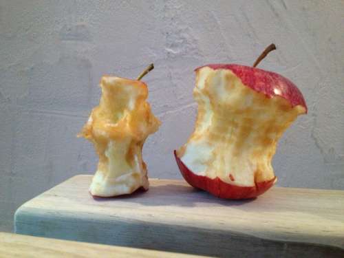 Apple Chewed On Eaten Apple Core Organic Waste
