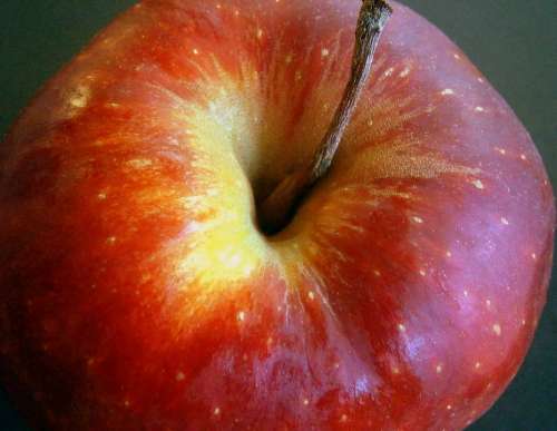 Apple Fruit Red Yellow Vitamins Fresh Healthy