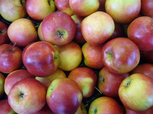 Apple Red Green Fruit Food Vitamins