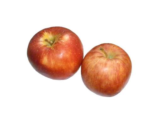 Apple Ringo Fruit Red