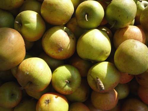 Apple Fruit Vitamins Healthy Green Ripe Market