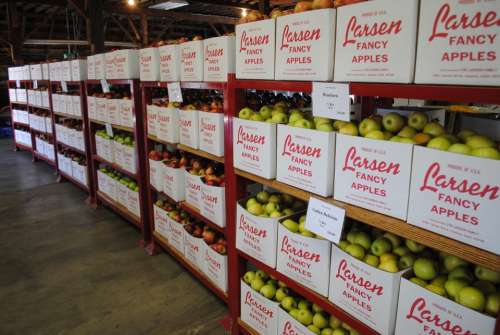 Apples Fruit Warehouse Food Apple Barn California