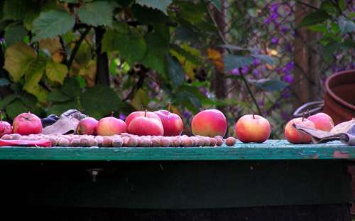 Apples Autumn Fruit Hazelnuts