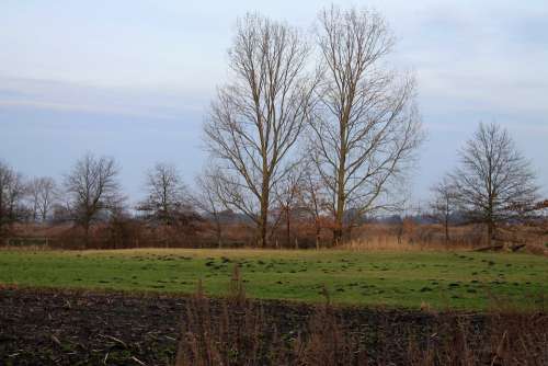 Arable Field Trees Landscape Sky