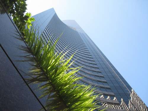Architecture Building Grass America Usa Seattle