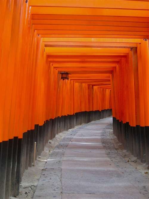 Archway Japan Orange Temple Shrine Asia