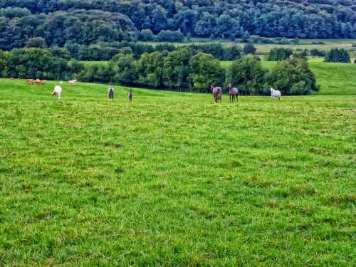 Ardennes France Landscape Scenic Hdr Nature