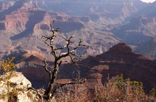 Arizona South Rim National Park Grand Canyon Rocks