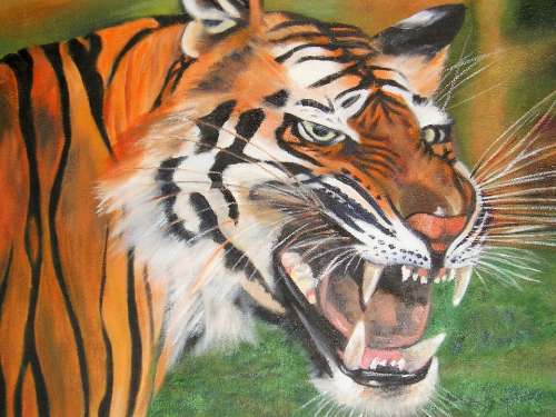 Art Original Oil Tiger Head Angry Snarling