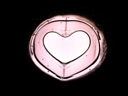 Art Heart Heart Shape Pink Lichtspiel Welcome